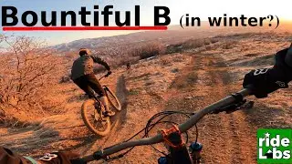 Bountiful B in winter?