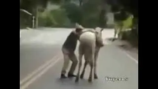 borracho divertido