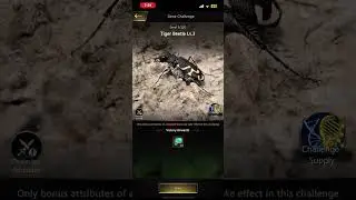 Fighting Tiger beetle till I die