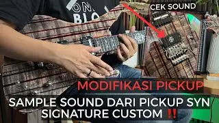 GITAR SYNYSTER SUN BRUSH PAKE PICKUP SIGNATURE CUSTOM JOSSS JUGA‼️