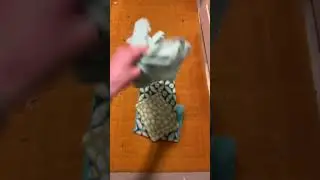 Cage cleaning day for Cocoa🫧 #fypviral #guineapighome #viralvideo #4urpage #blowup #pets