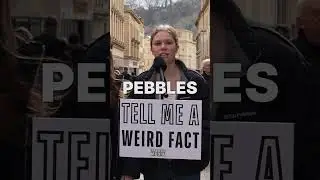 What's your weird fact?👇🏻 - - - - #tellmeafact #weirdfact #bath #fact #funfact #streetinterview