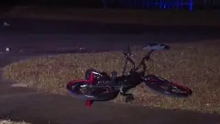 8-year-old  killed in Volusia County dog attack