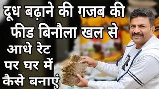 इतनी महंगी #बिनौला खल भूल जाओगे जब ये फीड घर पर बनाकर #गाय भैंस को खिलाएंगे #दूध बढ़ाए लंबे समय तक