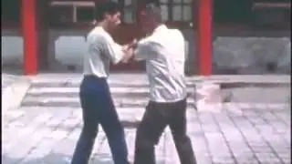 Lei Muni - Chen Taijiquan, empuje de manos (tuishou)