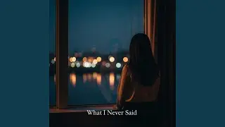 What I Never Said