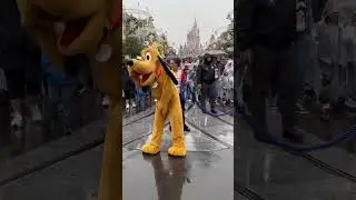 Pluto in Magic Kingdom #disney #shorts #fyp #magickingdom #pluto#fun #rainy #parade #travel