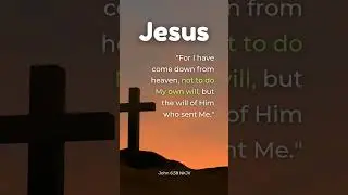 John 6:38 God&rsquo;s Will _ #davidbaldwin #bible #devotional #jesus