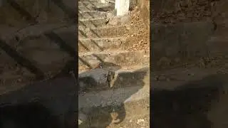 Climbing hill to reach temple | #hill  #temple