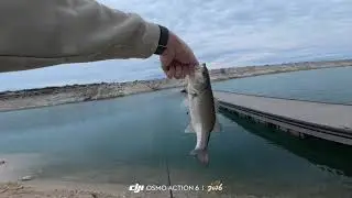 Box Canyon Fishing 2026.01.11