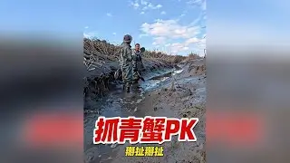 上次抓蟹虎侥幸取胜，这次抓青蟹又来掰扯掰扯