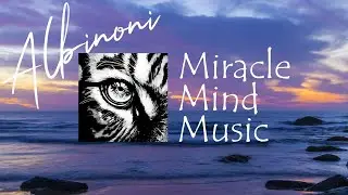 Albinoni Adagio in G Minor  ÷ Classical music