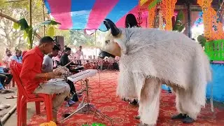 Choli Ke Peeche Kya Hai || रामधुनी अष्टजाम कीर्तन Ramdhuni Astjam Kirtan Video