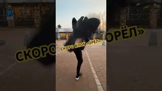 Скоро ждите новый вЛог из Орла. #eremenkodojo #karate #спорт #влог #видео #чемпион #sports #topnews