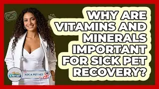 Why Are Vitamins And Minerals Important For Sick Pet Recovery? - Ask A Pet Vet