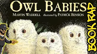 Owl Babies Book Rap | MC Grammar 🎤 | Educational Rap Songs for Kids 🎵b