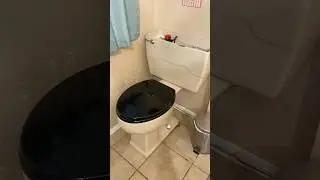1981 Kohler Highline overview and tank and bowl view!!!