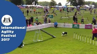 Special International Agility Large - Part 5 | International Agility Festival 2017