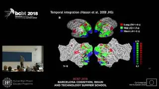 Internal Models and counterfactual cognition predicting our environment. Lars Muckli