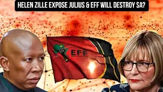 Хелен Зилле разоблачает Джулиуса Малему и EFF, утверждая, что они разрушат и приведут к краху Южн...