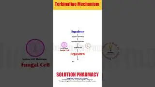 Terbinafine Mechanism of Action as Antifungal | Antifungal Drug  #solutionpharmacy