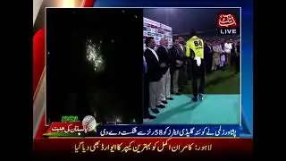 Peshawar Zalmi Becomes Champion Of Pakistan Super League 2