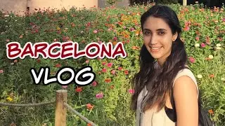 THE BEST OF BARCELONA| Bucket-List Destination