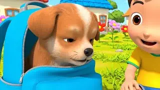 The Shy Baby Puppy Peeked from the Backpack AV1 | Kids Song Fun | Nursery Rhymes
