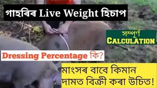How to Calculate Live Weight of Pigs | Dressing Percentage of Pig | Fixed Selling Price of a Pig