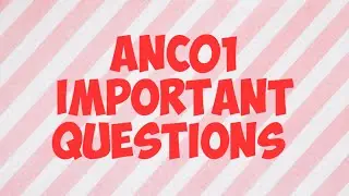 ANC01 Important questions