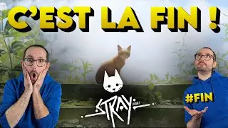 Une fin incroyable, un jeux magnifique ! Stray PS5 &Eacute;pisode 7