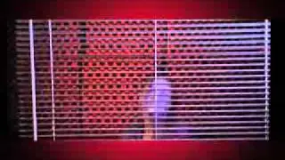 Fresh As Tommi - Release The Beat