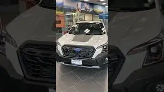 New 2022 Forester Wilderness Walkaround