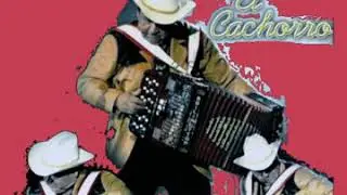 El Parotas En Vivo Los Cachorros de Juan Villareal