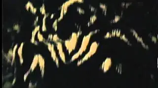 Pishachas