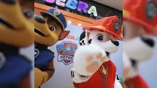 Jugueteria cebra 🦓 junto a lxs amigxs de Paw Patrol 🐕