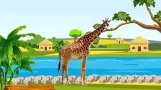 giraffe sound |  animal sounds | giraffe sound effect | giraffe video | giraffe voice