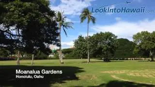 Moanalua Gardens and the Hitachi Tree, Honolulu Oahu Hawaii HD1080p