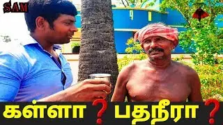 PALM WATER| PALM FRUIT|PALM TREE| SAM FITNESS