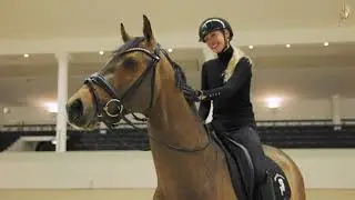 Etienne, geb. 2019, v. Escolar - Sir Donnerhall I - Laurentianer