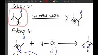 Mechanistic Reasoning For 3,3-dimethyl-1-Butene