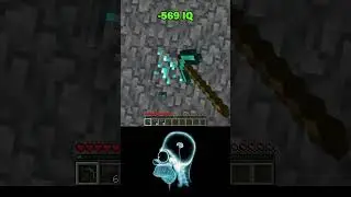 969 IQ vs 6969 IQ Minecraft  World s Smallest Violin  #minecraft #shorts1080p