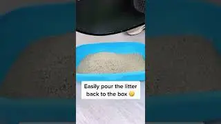 Fix stepping cat poop pebbles Link in bio 🐾 Shorts