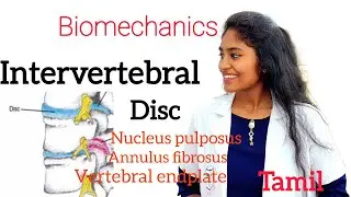 Intervertbral disc biomechanics in tamil ,nucleus pulposus,annulus fibrosus made easy