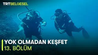 Yok Olmadan Keşfet | Saros K&ouml;rfezi'ni Koruma &Ccedil;alışmaları ve İklim Değişimi | TRT Belgesel