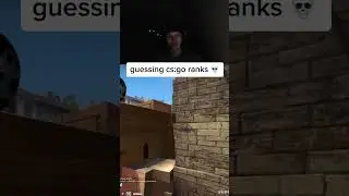 SINATRAA GUESSING CS:GO RANKS 💀