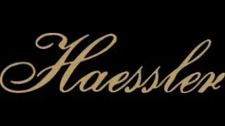 Haessler piano's en vleugels