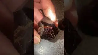 Huckleberry Star Garnet concave cut and polished crystal