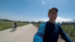 Biking through the Vines in Santiago