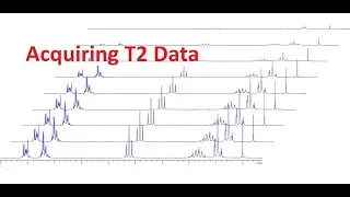 T2 data acquisition